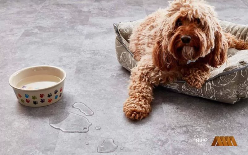 کفپوش مناسب برای حیوانات خانگی